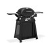 Weber Q2200N STAND PREMIUM plynový gril